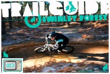 Mountain Bike Trail_guides -  Swinley Forest 2010