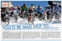 You\'d Be Mad Not To