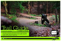 Trail Guide - Forest of Dean