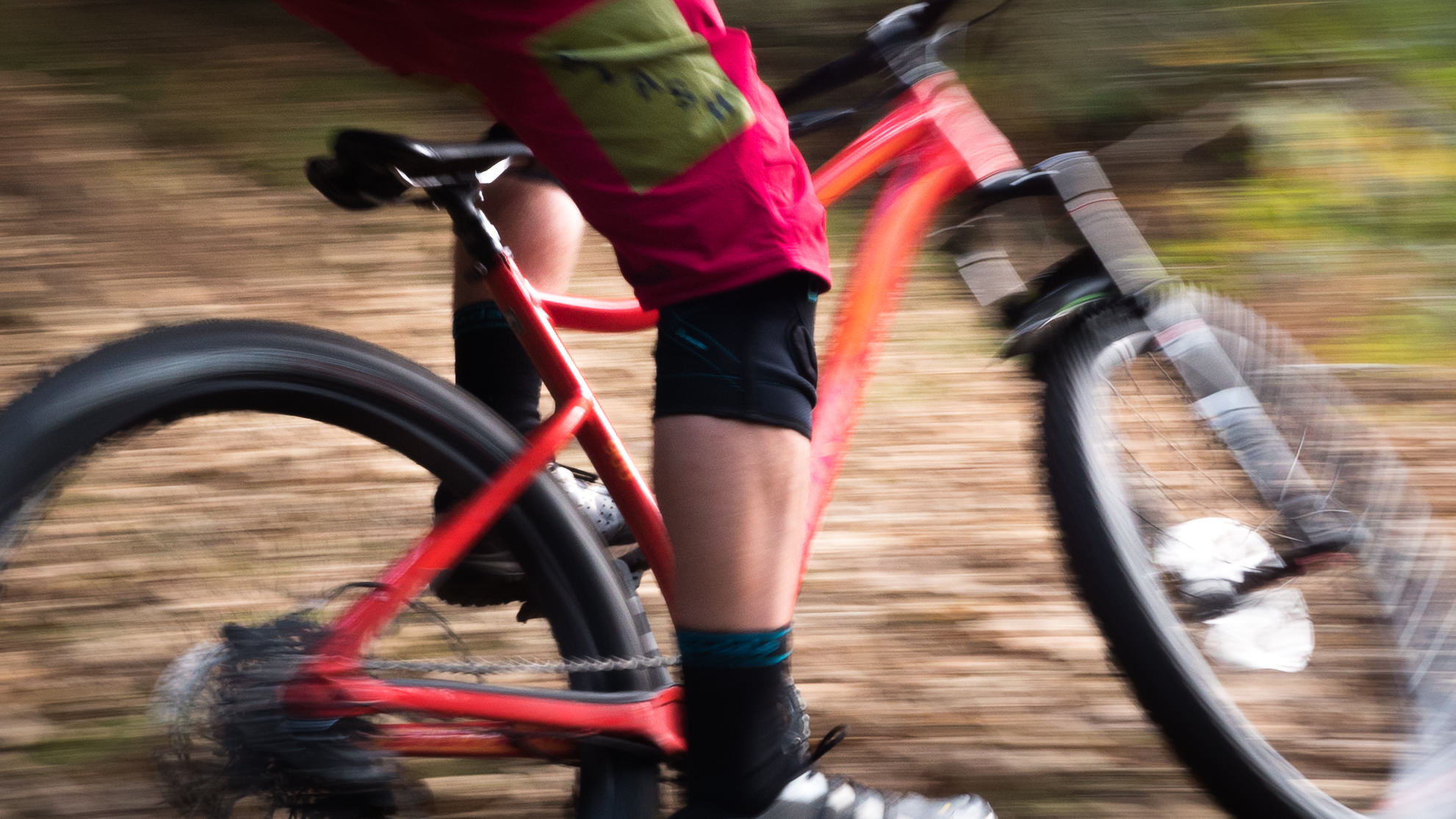 Body Armour Reviews » Protection IMB Free Mountain Bike Magazine