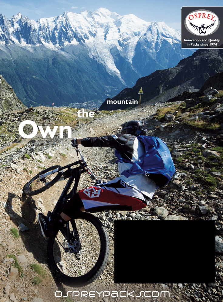 Osprey Issue 19