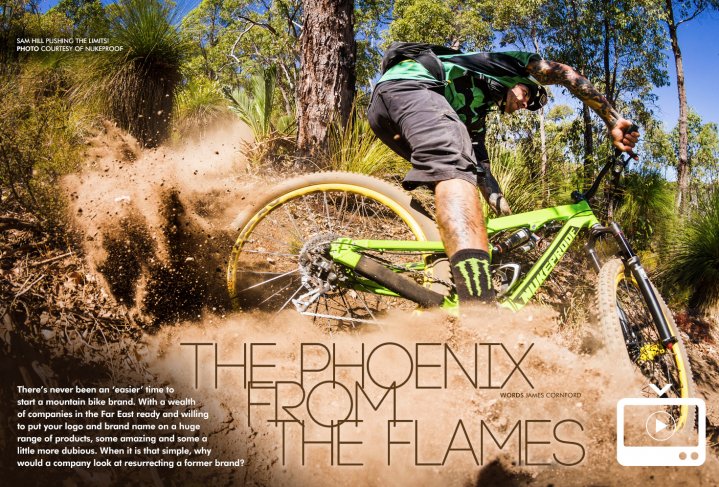 Phoenix From The Flames