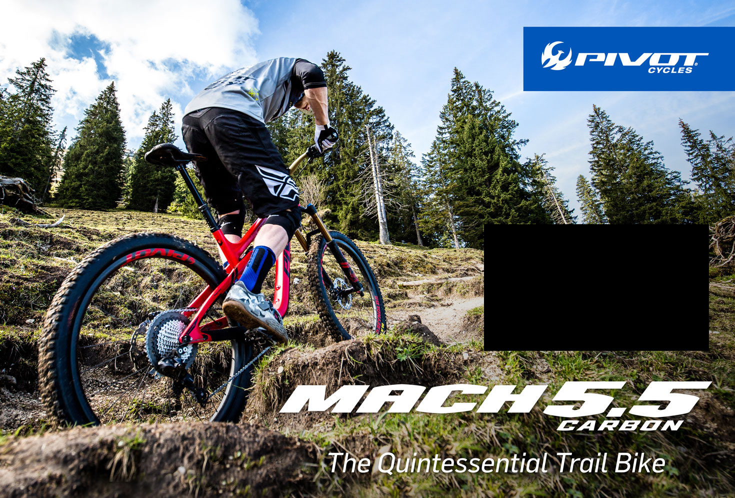 Pivot Cycles Issue 48