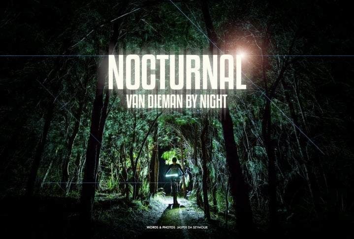 Van Dieman - Nocturnal