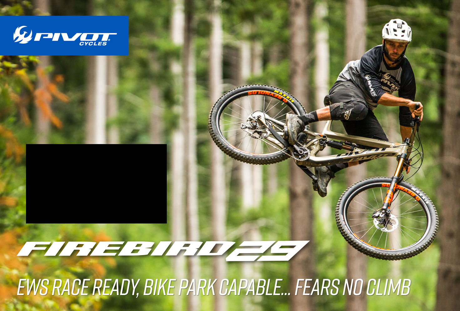 Pivot Cycles Issue 54