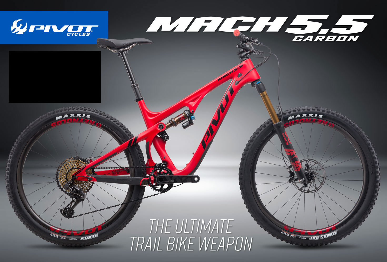 Pivot Cycles Issue 56