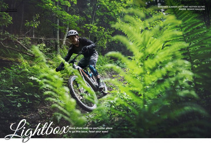 best mtb deals online