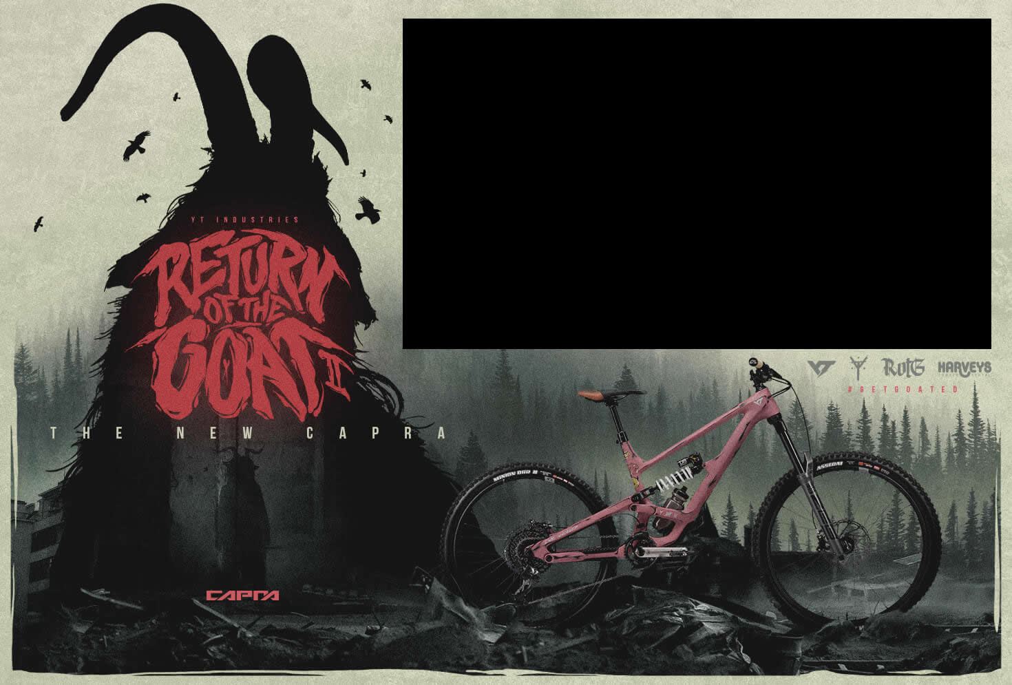 YT Industries Issue 65