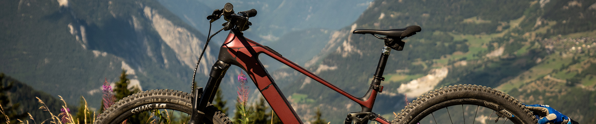 Death of the Analog Bike