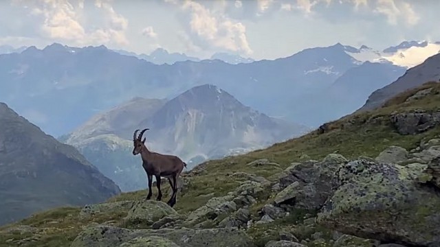 Would you ride this technical trail? La Stretta with Hans Rey