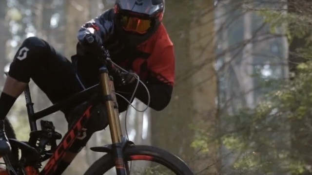 Fall Time Leafy Roostin' With ShapeRideShoot!