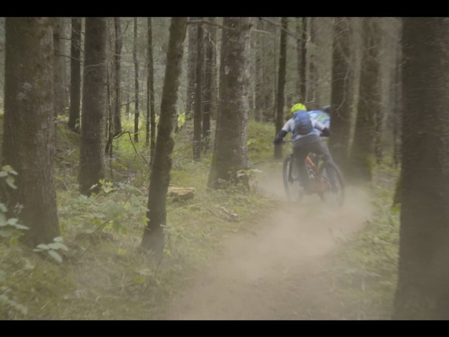 Local Loam: Mexico City, and the story of the De Avila brothers