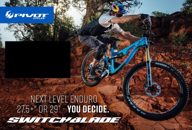 Pivot Cycles Issue 55