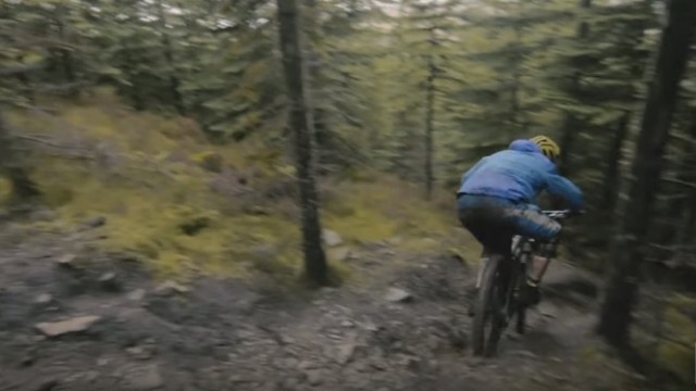 Lone Wolf -- Sam Stanfield RAW