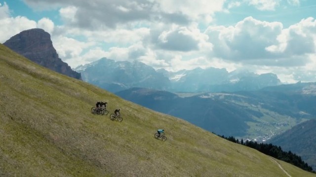 FOCUS BOLD² MOVELO ADVENTURE