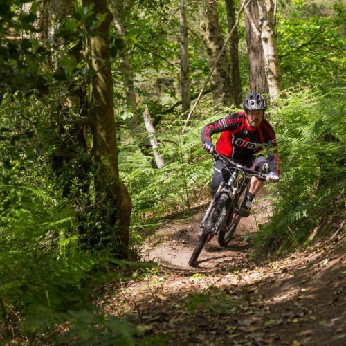 Switchbacks Mountain Bike Technique