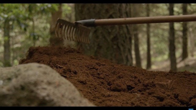 Build It And They Will Come - Madeira