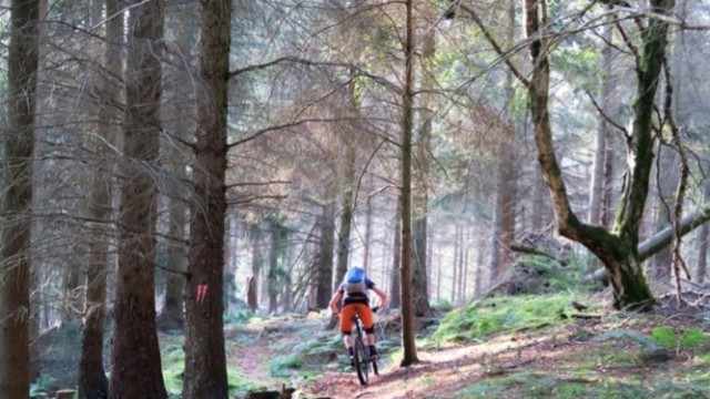 DMRBikes Presents: The EX