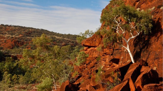 Mountain Biking Australia: Following the Finke River