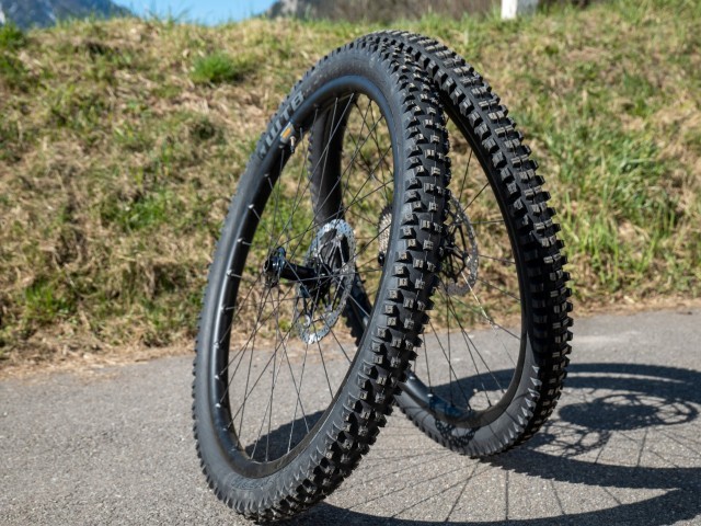 WTB Vigilante / Judge 2022