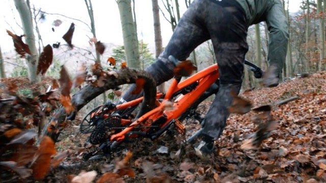 Video: 'Wild In Winter' feat Daryl Brown