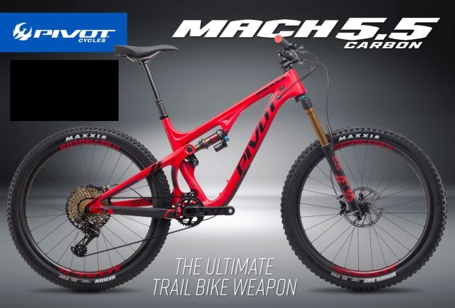 Pivot Cycles Issue 56