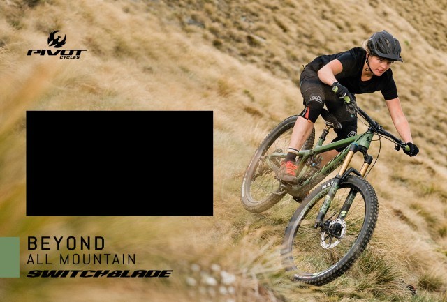 Pivot Cycles Issue 63