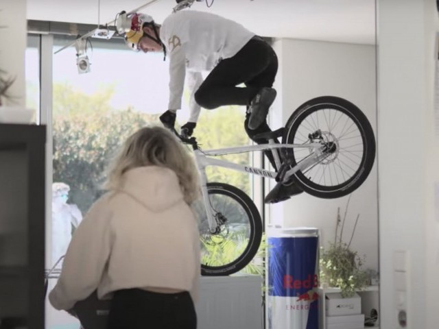 to the limit wibmer
