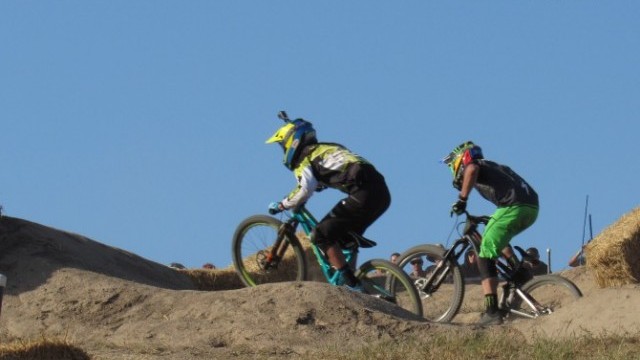 Sea Otter Day 3