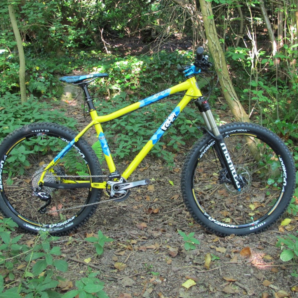 ragley blue pig hardtail