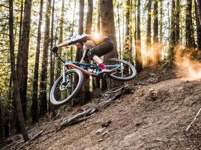 Ibis Cycles: Ripmo 29er Prototyoe