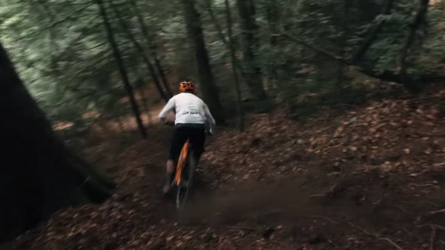 SCOTT SR Suntour Shorts - Hugo Pigeon