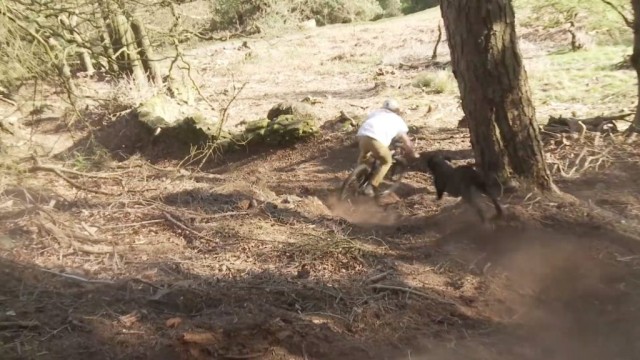 Home To Roost - Episode 12