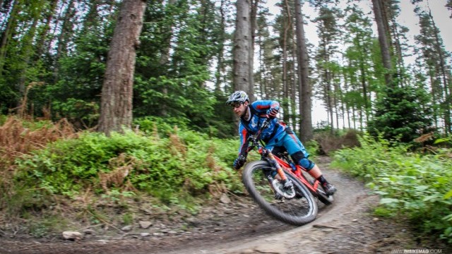 Cube Action Team Hit Up Hamsterly