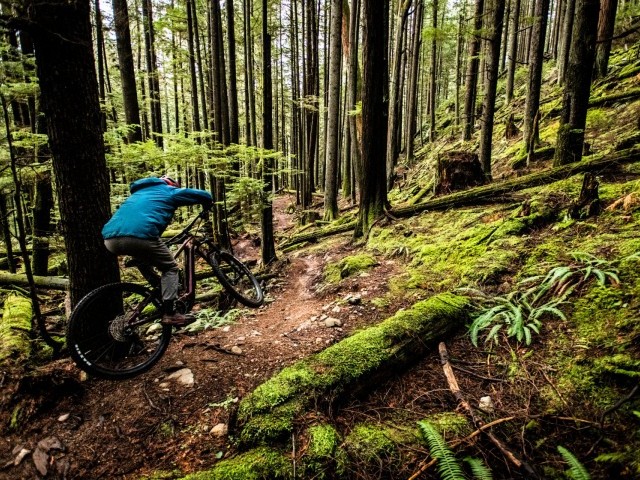 Winter On The North Shore With Scott Mackay
