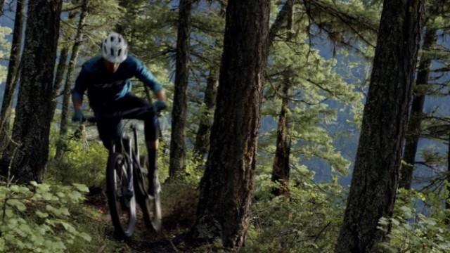 Tobacco Roots. Proven Here