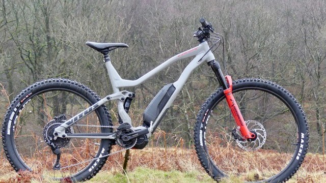vitus womens mtb