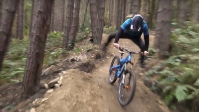 50to01 - Talking Jibberish
