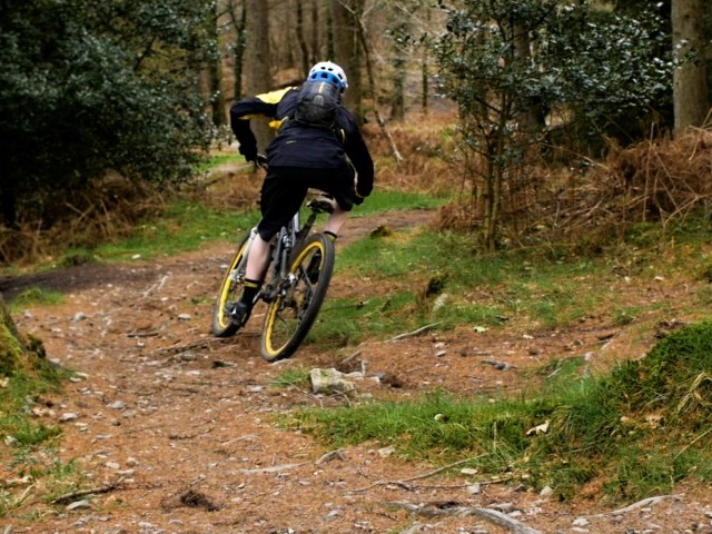 The Art of Going Slow to Go Fast