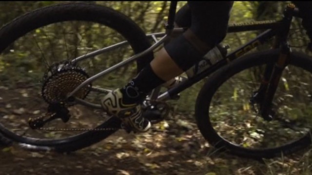 Cycles Leon - Torrentibus