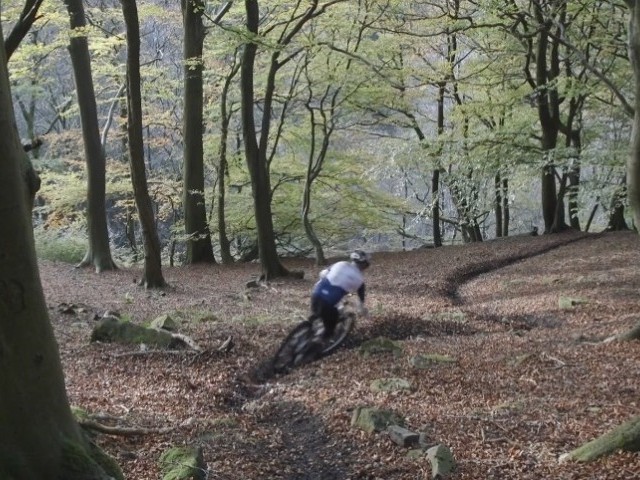 Autumn With Matt Stuttard