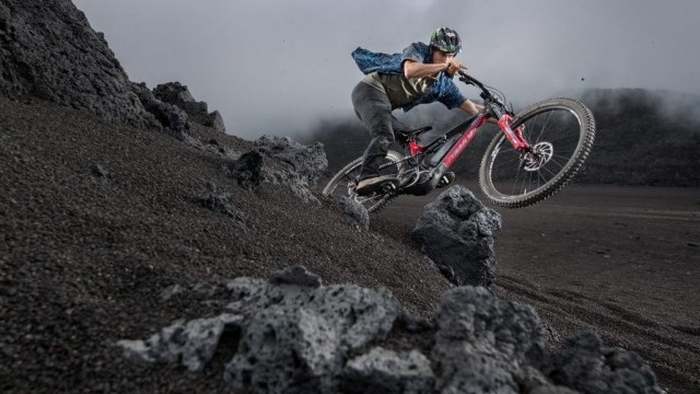 MOMO vs WILD - The Island Of All Dangers!