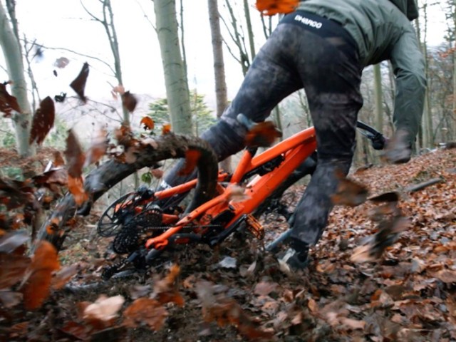 Video: 'Wild In Winter' feat Daryl Brown