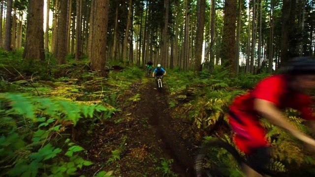 Knolly Bikes - Sunshine Coast