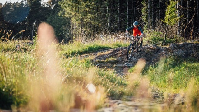 Mountain Bike Technique - Terrain