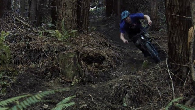 2021 Marin Hawk Hill 3