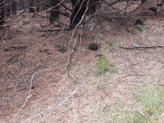 Afan Trail Sabotage: Neck Height Barbed Wire