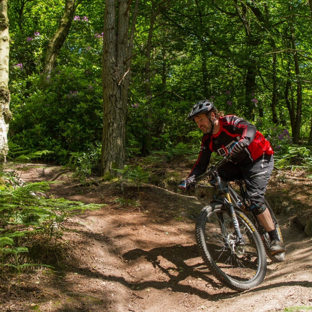 switchback mountain bike