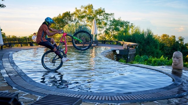 Video: "A Dog's Life" | Jamaica