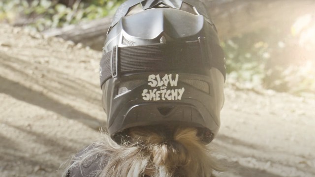 Video: Perfect Light